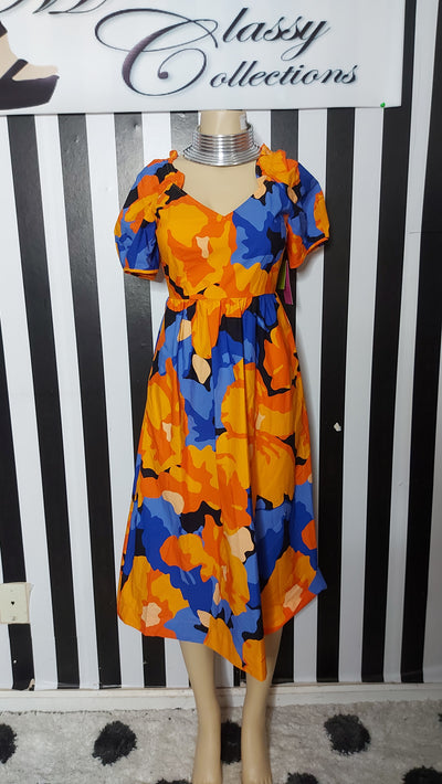 Tabitha Brown Dress NWT