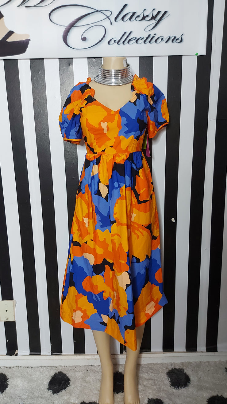 Tabitha Brown Dress NWT