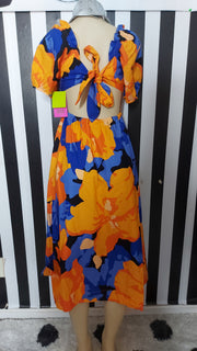 Tabitha Brown Dress NWT