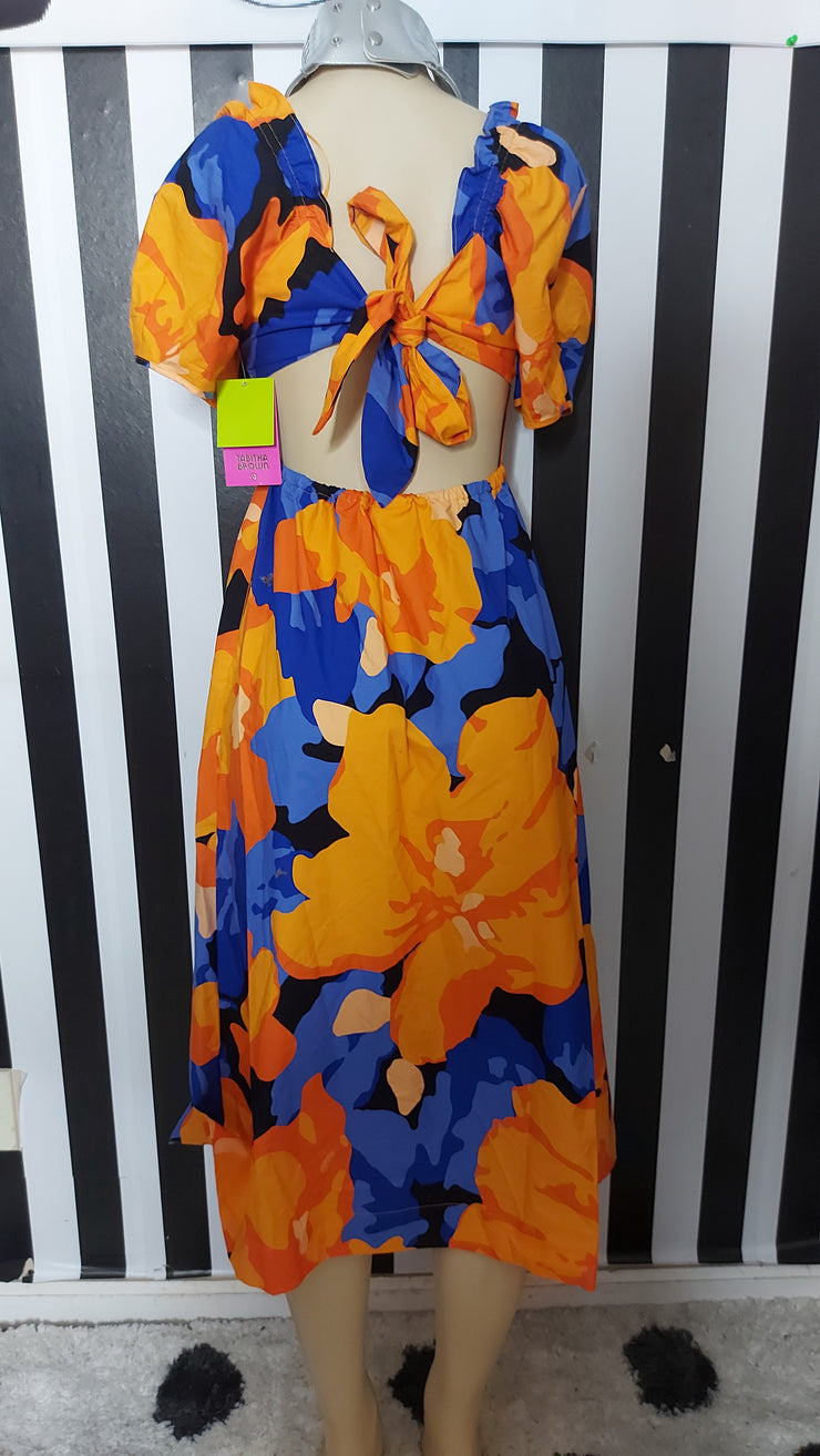 Tabitha Brown Dress NWT